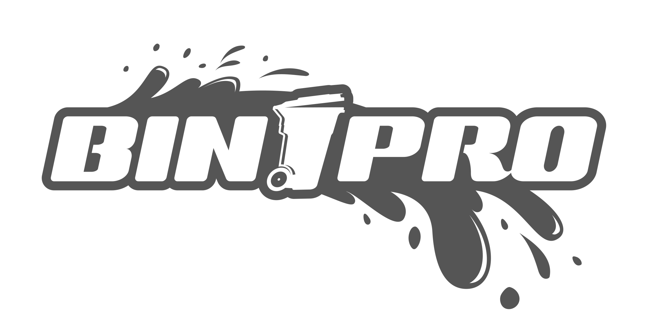 Bin Pro Sanitation Logo (1-color version)